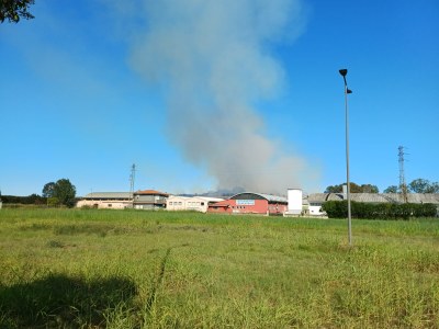 incendio taglio di po.jpg