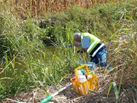 Analisi scolo Rotella 2- Solesino