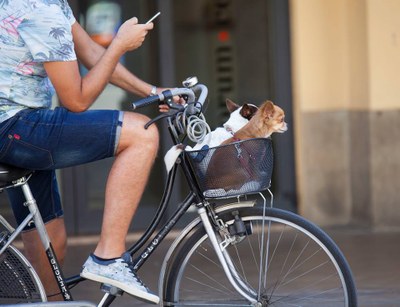 sfida europea bicicletta 2017