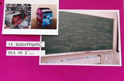 Giovanna d'Arco quale idea