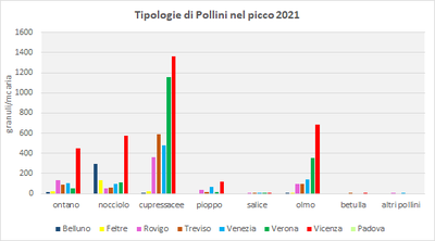 Tipologia_di_pollini_nel_picco_2021.png