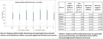 Stagione pollinica graminacce anni 2010-2012