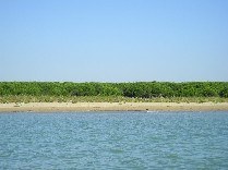 Mare Adriatico