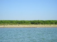 Mare Adriatico