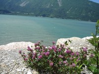 Lago di S. Croce