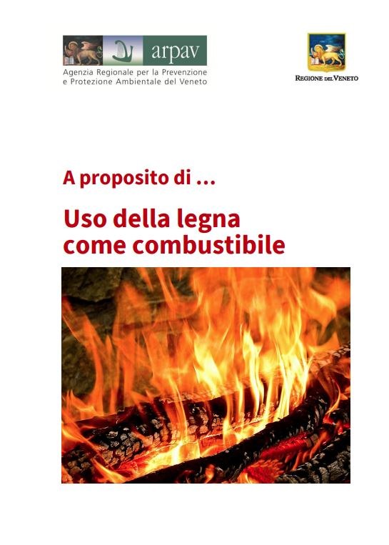 A proposito di … Uso della legna come combustibile (1 edizione 2016)