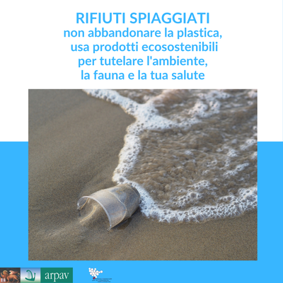 MARE E LAGUNE - I rifiuti spiaggiati