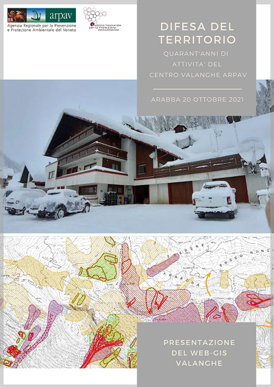web gis valanghe locandina