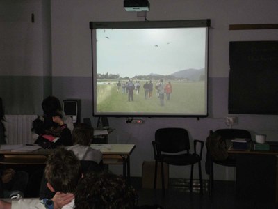 Fase di studio 2.jpg