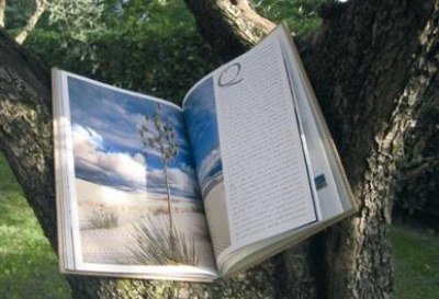 Educare_libro web.jpg