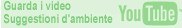 youtube.jpg