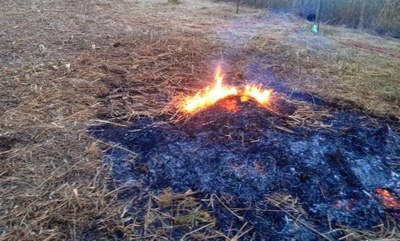 Combustione in loco di residui vegetali