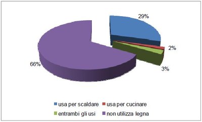 Utilizzo biomasse legnose