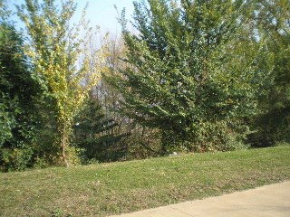 FOTO4_502416 .jpg