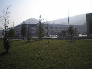 FOTO5_502416.jpg