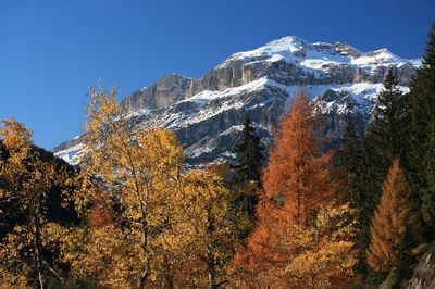 Aut2010_foto