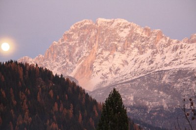 Fig3a_sinossi_autunno_2013