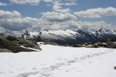 Fig_1B_sinossi_estate_13