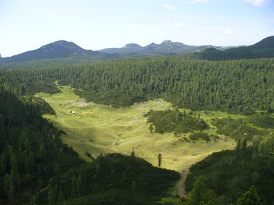 Campoluzzo estate