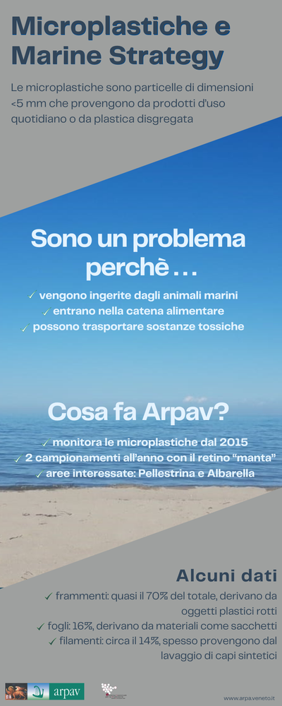 MARE E LAGUNE - Microplastiche e Marine Strategy