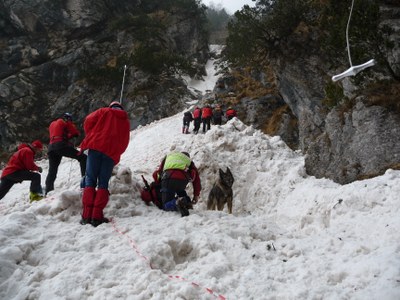 Operazioni di soccorso organizzato sull'incidente della Pala Alta, 1 marzo 2009