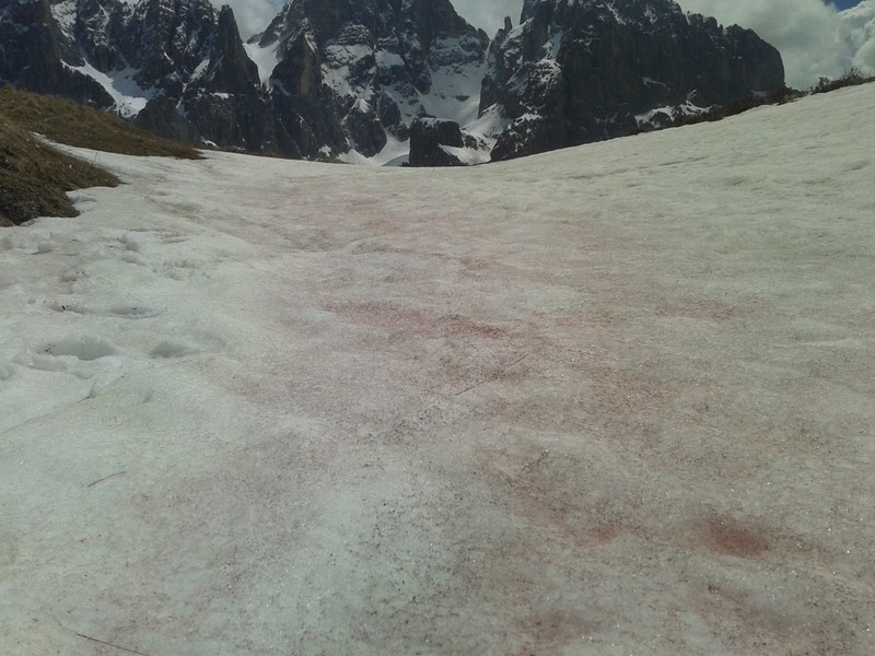 I colori della neve sui ghiacciai delle Dolomiti