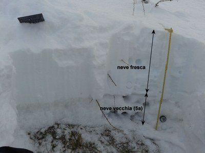 Inc_02_faloria_Profilo