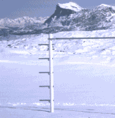Image103.gif