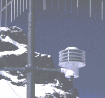 Image104.gif