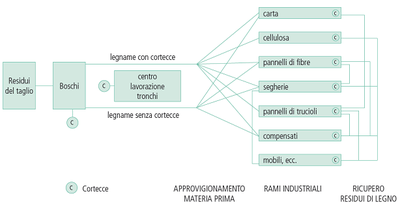 schema_ciclo_legno.gif