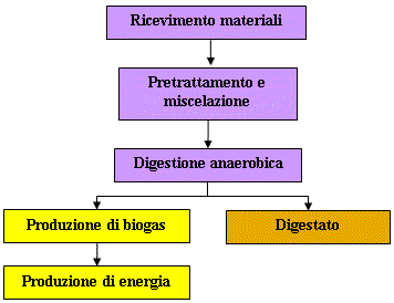 digestione_anaerobica.png